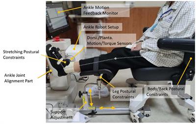 Effects of Robot-Aided Rehabilitation on the Ankle Joint Properties and Balance Function in Stroke Survivors: A Randomized Controlled Trial